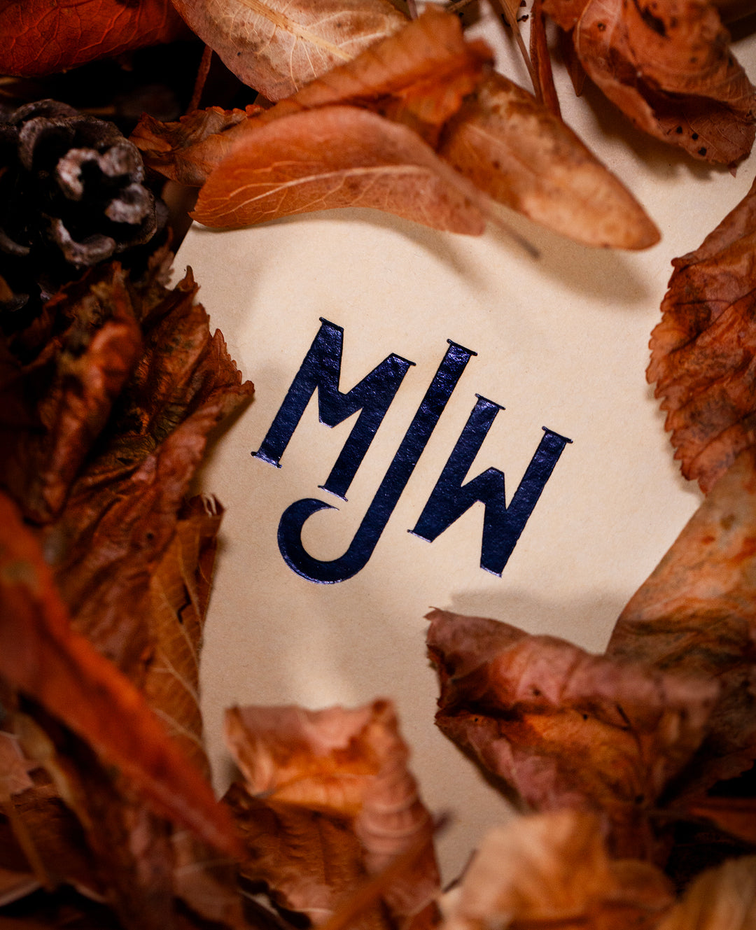 A perfectly useless morning